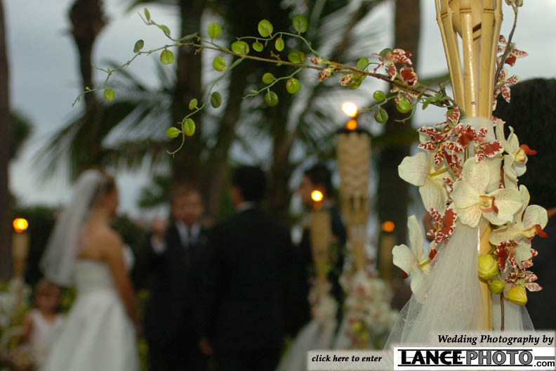 Llazari Wedding Photos